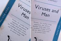 Viruses and Man