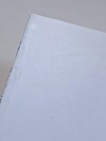 特別展　河童vs天狗　妖怪とヒトの交流史