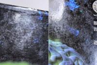 マルチメディアデザイン論　NHKスペシャル「驚異の小宇宙・人体」のCD-ROMはこうして生まれた