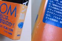 マルチメディアデザイン論　NHKスペシャル「驚異の小宇宙・人体」のCD-ROMはこうして生まれた