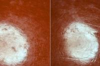 近代日本造船事始　―肥田浜五郎の生涯