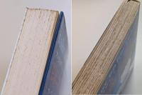 馬に乗った水夫　大いなる狩人、ジャックロンドン