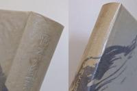 岡本太郎著作集　第8巻　岡本太郎の眼