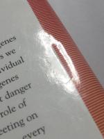 The Misunderstood Gene