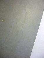 新編西洋史綱附圖