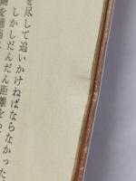 セックスがいっぱいの国　〈北欧版・キンゼイ報告〉