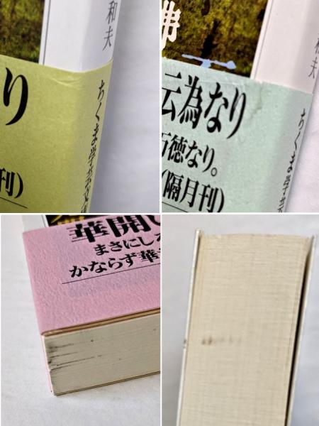 正法眼蔵」読解 全10巻セット (ちくま学芸文庫) 森本 和夫 (著)