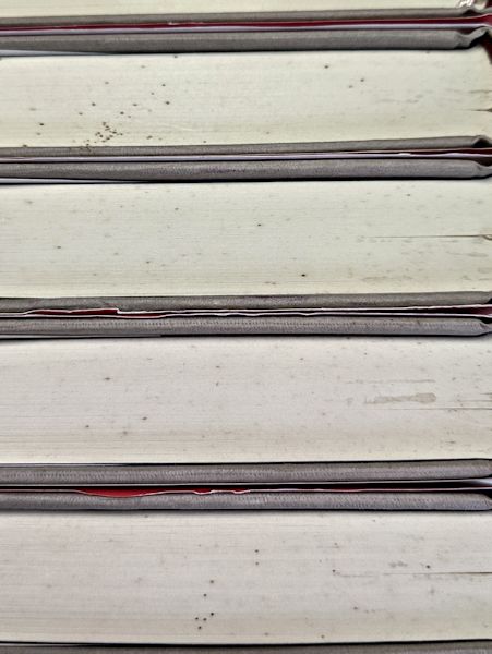 鮎川哲也と十三の謎 / 古本、中古本、古書籍の通販は「日本の古本屋