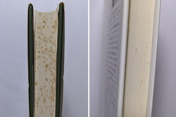 生きられる時間 現象学的・精神病理学的研究 1、2巻 2冊揃(E