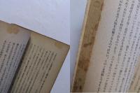 昆蟲の生活と本能