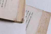 露西亞文學の理想と現実