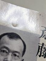 斎藤茂吉の人間誌