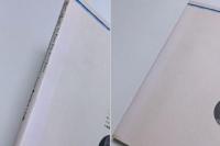 物の味方