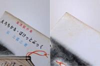 えろちかる・ぽけっとぶっく : 風流話の泉