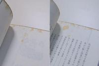 現代にっぽん奇人伝　24人のフシギな男女