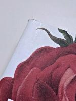 ROSES　―from the archives of the royal horticultural society―