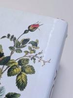 ROSES　―from the archives of the royal horticultural society―