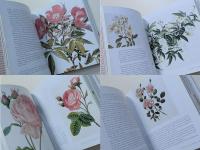 ROSES　―from the archives of the royal horticultural society―