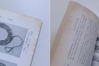 日本民俗学