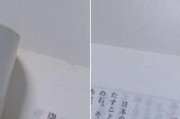 日本民俗学