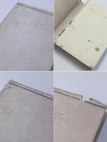 森恪は生きて居る