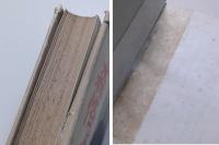 森恪は生きて居る