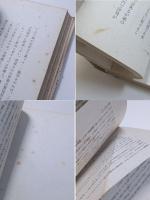 森恪は生きて居る