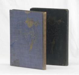 噫無情　前篇・後篇