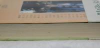 １９９５年１月・神戸　「阪神大震災」下の精神科医たち