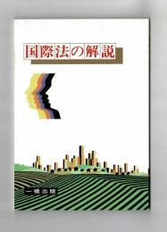 国際法の解説