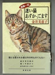 遊興一匹　迷い猫あずかってます