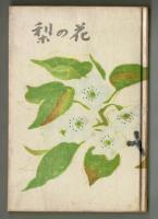 梨の花