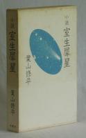 小説室生犀星