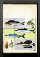図鑑　北日本の魚と海藻