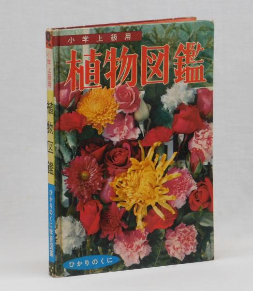 有用植物図説 全7冊セット 植物図鑑 古書 年代物 研究 植物図鑑(谷善次) / 古本、中古本、古書籍の通販は「日本の