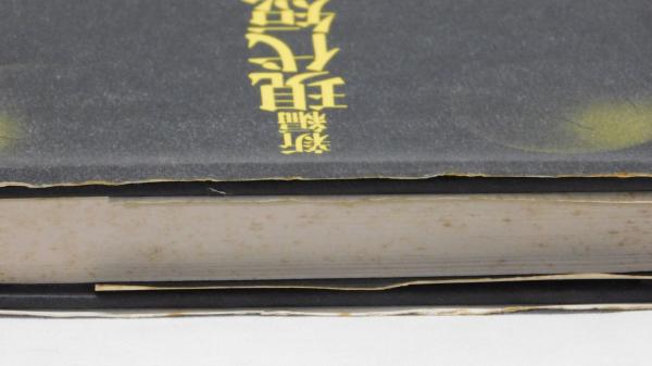新編 現代短歌入門 危機歌学の試み | 岡井隆 | 大和書房 | ¥1,780