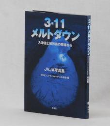 ３・１１メルトダウン　大津波と核汚染の現場から