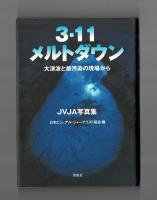 ３・１１メルトダウン　大津波と核汚染の現場から