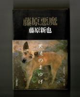 藤原悪魔