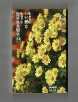 ちょっといい話を　ちょっと気になる話を２４
