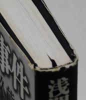 浅間山荘事件の真実