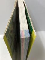 ドラゴンクエストモンスターズ2マルタのふしぎな鍵公式ガイドブ: ルカの旅立ち・イルの冒険共通 (ENIXベストムックライブラリー) スクウェア・エニックス