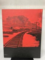 Red Dead Redemption Game of the Year Limited Edition BradyGames BradyGames