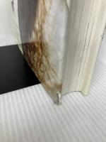 【イタミ有り】The Encyclopedia of Dog Breeds Parragon Plus Cunliffe, Juliette