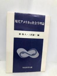 現代アメリカの社会学理論 恒星社厚生閣 新 睦人
