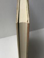 虹とクロエの物語 河出書房新社 星野 智幸