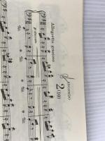 日本語ライセンス版 ドヴォルジャーク : スラヴ舞曲集op.72 全曲版ピアノ連弾 Dvorak: Slavonic Dances Op.72, complete