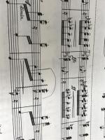 日本語ライセンス版 ドヴォルジャーク : スラヴ舞曲集op.72 全曲版ピアノ連弾 Dvorak: Slavonic Dances Op.72, complete