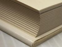 カラワン楽団の冒険: 生きるための歌  晶文社 ウィラサク スントンシー