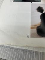 プ-ドルのクリップ・スタイル集: ショ-・クリップ&ペット・クリップ ペットライフ社 池田昌弘(犬)